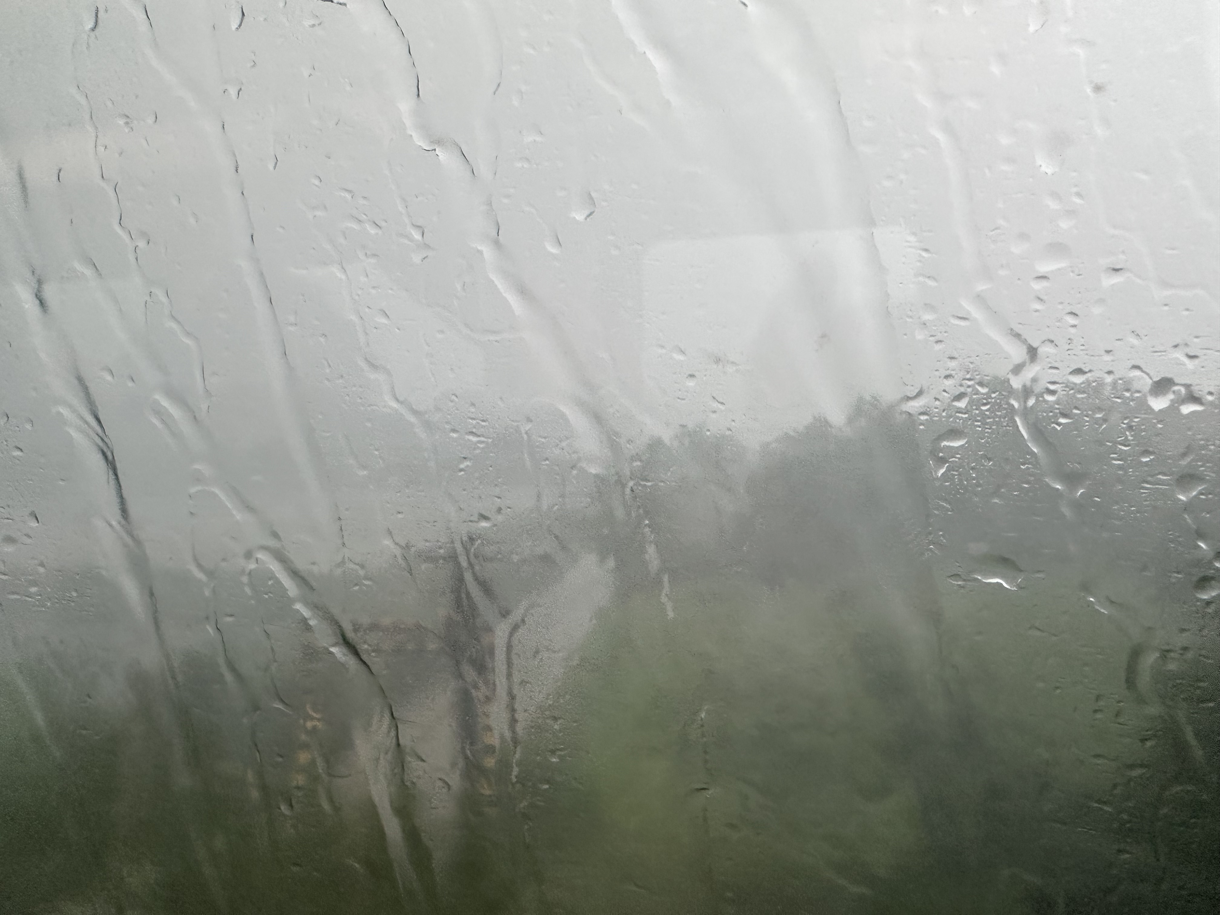大雨